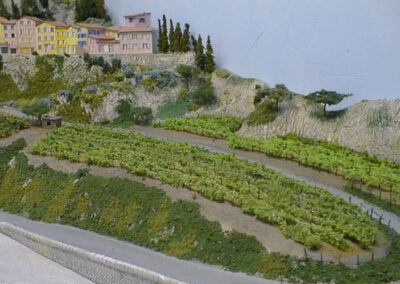 Les vignes qui grimpent sur le côteau, entre la gare et le village